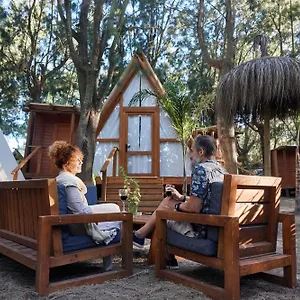  Camping Taiga Punta Paloma